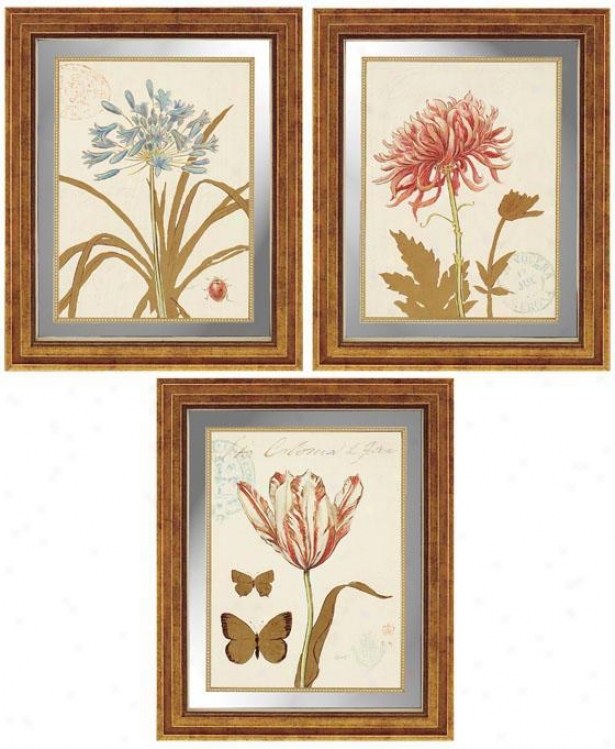 Fleurs Wall Art - Set Of 3 - Set Of 3, Ivory