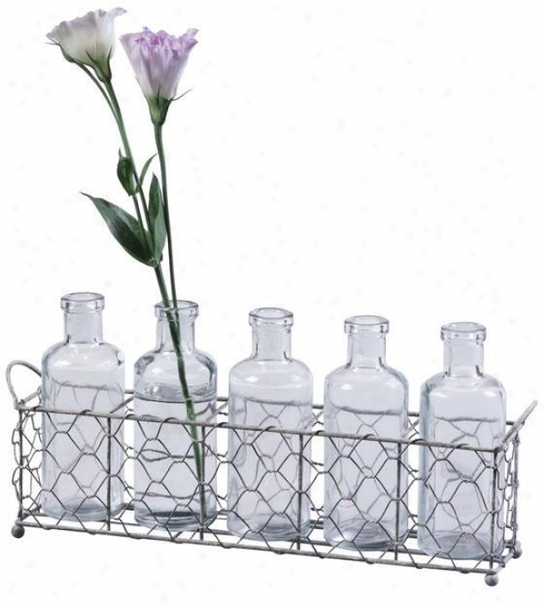 Glass Bottles And Wire Tray Set - 12.75x2.5, Silver/clewr