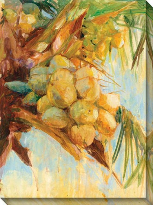 "golden Coconuts Canvas Wall Art - 36""hx48""w, Yellow"