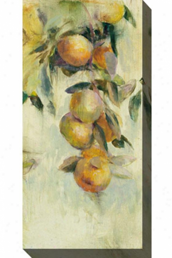 Golden Fruit Study I Camvas Wall Art - I, White