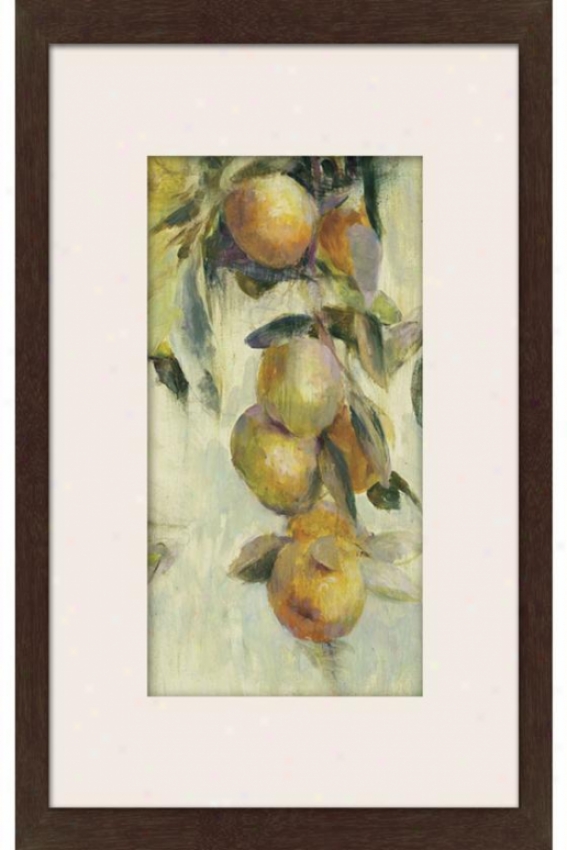 Yellow Fruit Study I Framed Wall Art - I, Matted Espresso