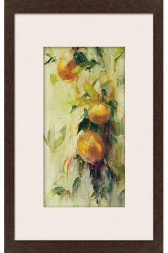 Golden Fruit Study Iii Framed Wall Art - Iii, Matted Espresso