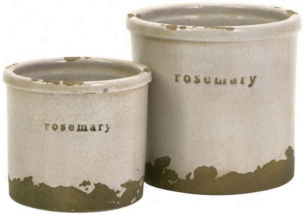 Herb Pots - Set Of 2 - Set Of 2, Rosemary