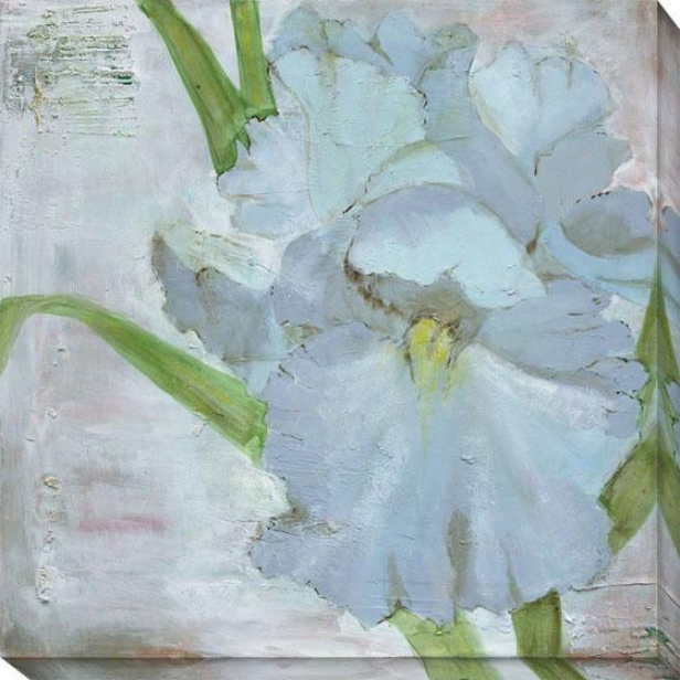 "iris In Periwinkle Canvas Wall Art - 40""hx40""w, Blue"