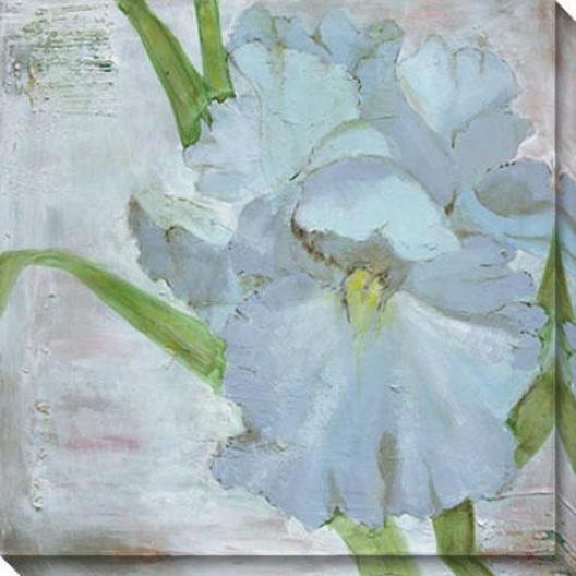 "iriis In Periwinkle Canvas Wall Art Ii - 40""hx40""w, White"