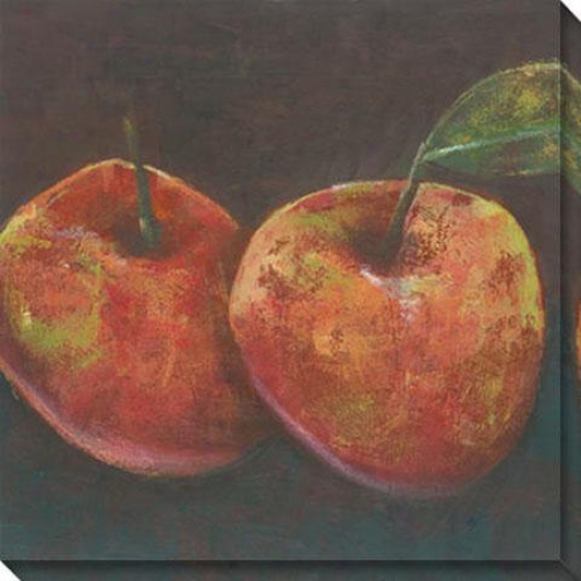 "juniper Pomme Canvas Wall Art  -40""hx40""w, Orange"