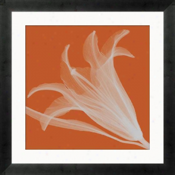 "lily Silver Framee Wall Art - 24""hx24""w, Mtte Bk Cube Fm"