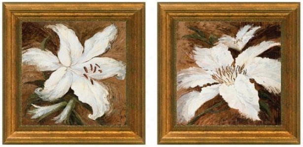 Lily Whites Framed Wall Art - Set Of 2 - SetO f Two, Pure