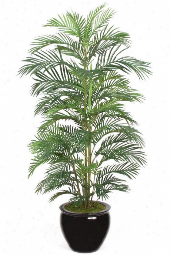 "luau Creca Palm Tipiary - 60""h, Green"