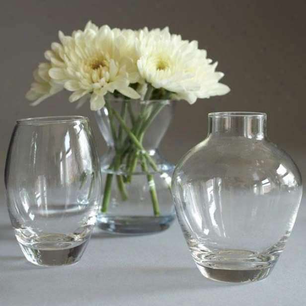 Menage A Trois Germ Vases - Write Of 3 - Set Of 3, Clear