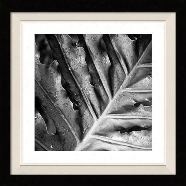 "morning Dew Framed Wall Art - 30""hx30""w, Floated Black"