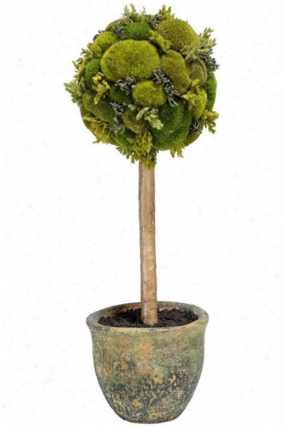 "moss Sphere Topiary - 24""h, Inexperienced"