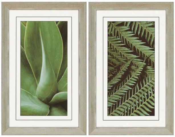 Natura I Wall Art - Set Of 2 - Set Of 2, Green