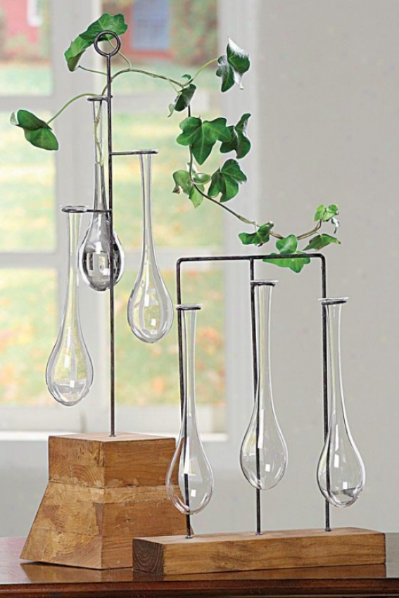 Naturale Bud Vases With Stand - Tall, Wood/clearr