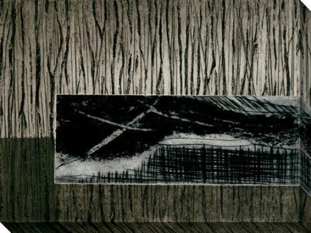 Nest Series Iii Canvas Wall Art - Iii, Black