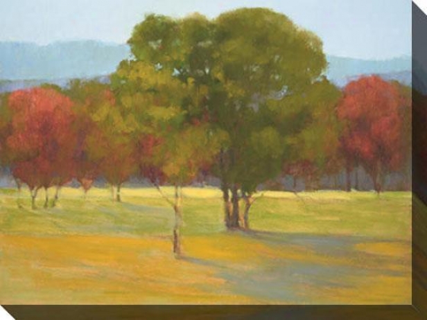 "oak With Red Trees Canvas Wall Art - 48""hx36""w, Flourishing"