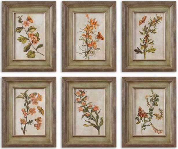 Orange Florals Wall Art - Set Of 6 - Set Of 6, Brown