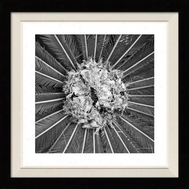 "palm Pom Framed Wall Art - 30""hx30""w, Floated Black"