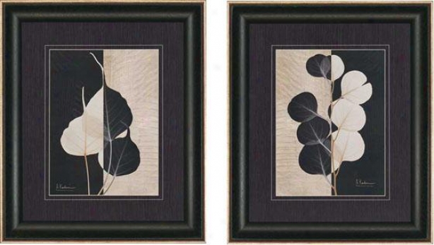 Parchment Leaves Wall Art - Set Of 2 - Set Of Two, Black And White