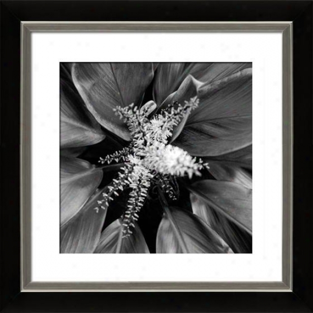 "pollinator Ftamed Walll Art - 29""hx29""w, Mttd Black/slvr"