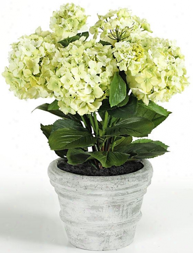 "pottdd Hydrangea - 20""hx9""d, Yellow"