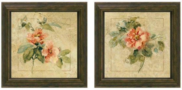 Provence Rose Framed Wall Cunning - Prescribe Of 2 - Set Of Two, Cream