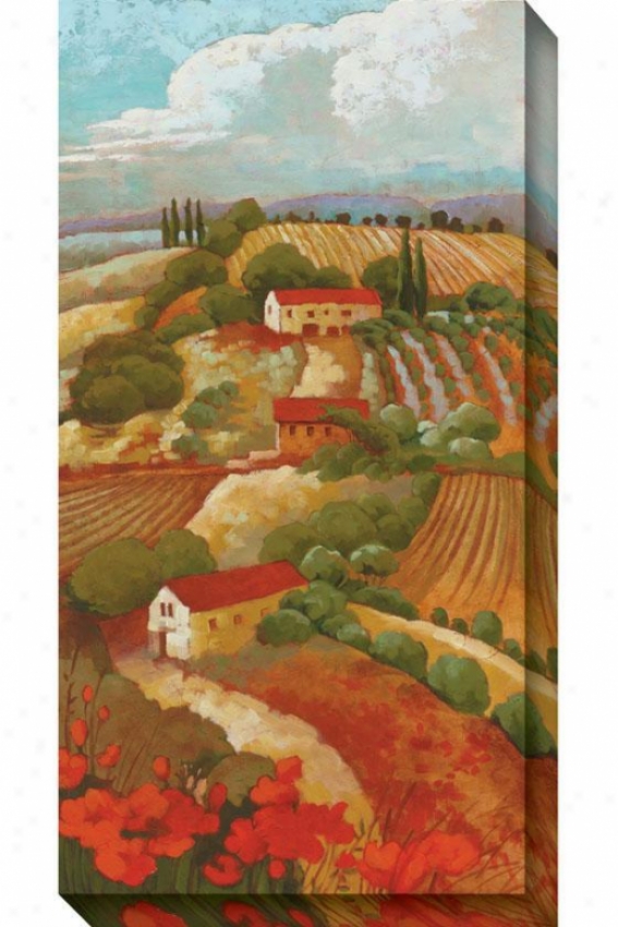 Red Tuscan Ii Canvas Wall Art - Ii, Rer