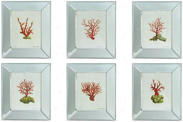 Reflections  Coral Wall Art - Set Of 6 - Stud Of 6, Silvsr