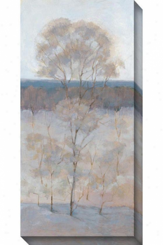 Solitary Tree Iv Canvas Wall Art - Iv, Gray-haired