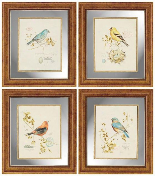 Songbirds Wall Art - Set Of 4 - Set Of 4, Ivory