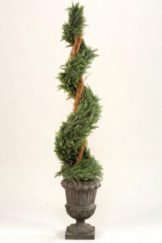 "spiral Topiary In Urn - 74""h, Green"