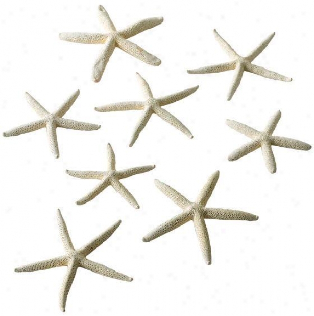 Starfish In Ensnare Bag - Set Of 10 - Set Of 10, White