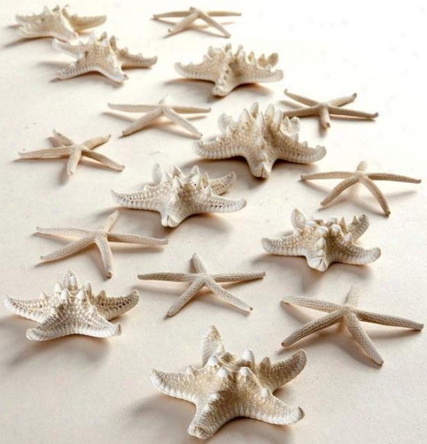 Starfish In Mesh Bag - Set Of 16 - Set, White