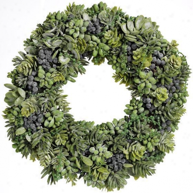 "succulent Wreath - 18""d, Green"