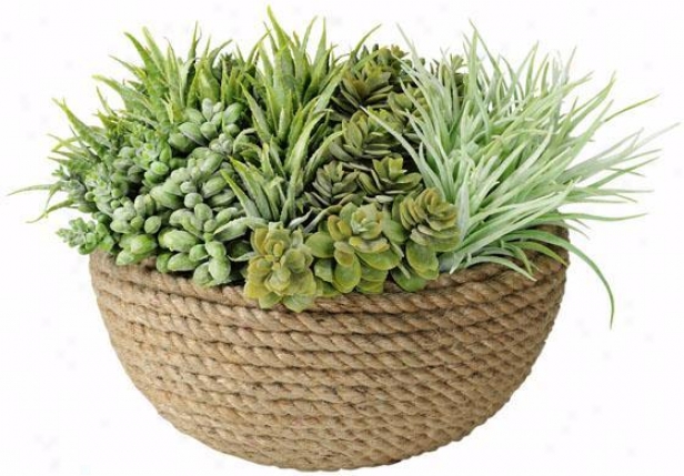 "succulets In Coiled Rope Pot - 12""h, Green"