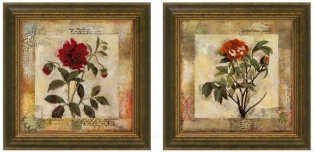 Simmer's Inspiration Famed Wall Art - Set Of 2 - Set Of Two, Earthtones