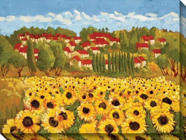 Sunflower Province Ii Canvas Wall Art - Ii, Yellow
