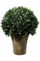 "boxwood Foliage Topiary With Round Ceramoc-like Base - Single 30""h,-Rnd Ceramic-lk"