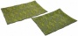 Hilaire Glass Trays - Set Of 2 - Set Of Two, Green