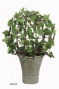 "ivy Bush Topiary - 30""h, Ceramic-like Bs"