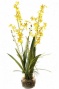 "orchids In Glass Do for - 32""hx16""w Yellow"