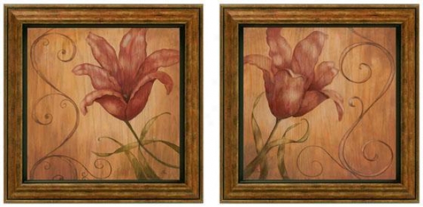 Tiger Lily Framed Wall Art - Set Of 2 - Set Of Two, Earthtones