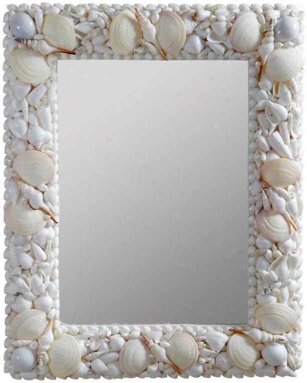 "triton  Sea Shell Mosaic Wall Mirror - 31""hx25""w, Seashell"