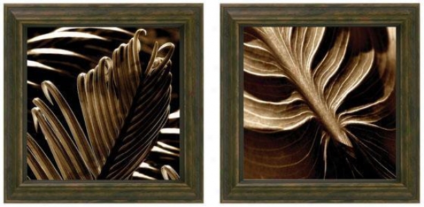 Tropicana Holiday New Leaf Framed Wall Art - Set Of 2 - Set Of Pair, Brown