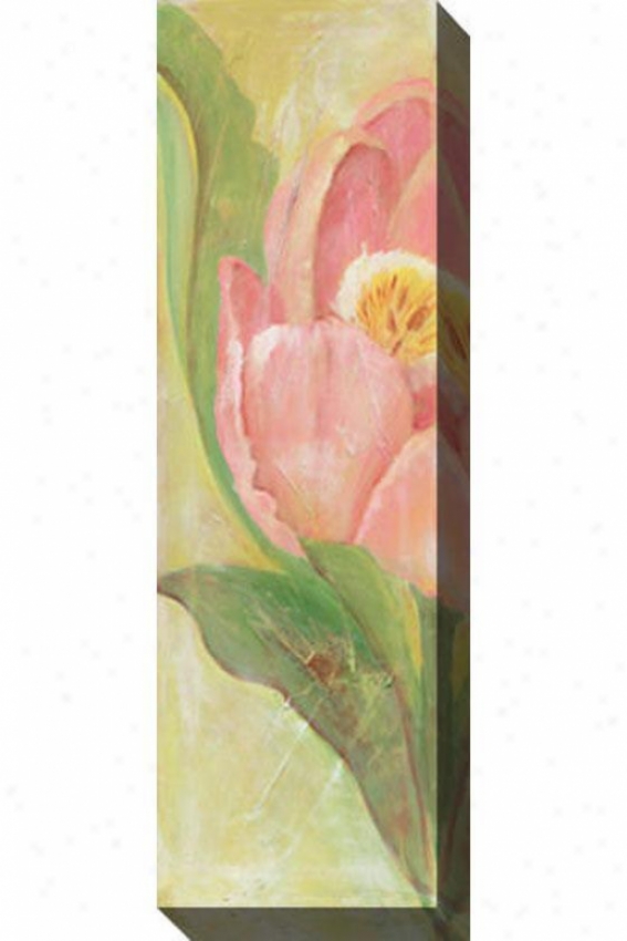 Tulip I Canvas Wall Art - I, Pink