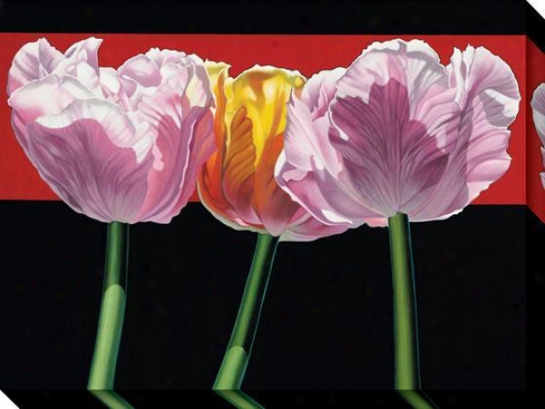 "tulips Canvas Wall Art - 36""hx48""w, Black"