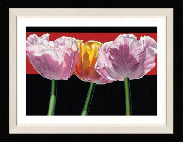 "tulips Framed Wall Art - 28""hx33""w, Floated Black"