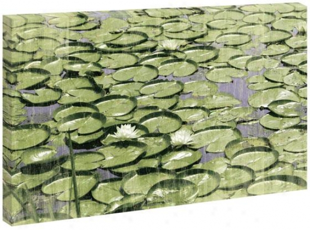 Water Lilies Wall Art - 36hx54wx1.5d, Green