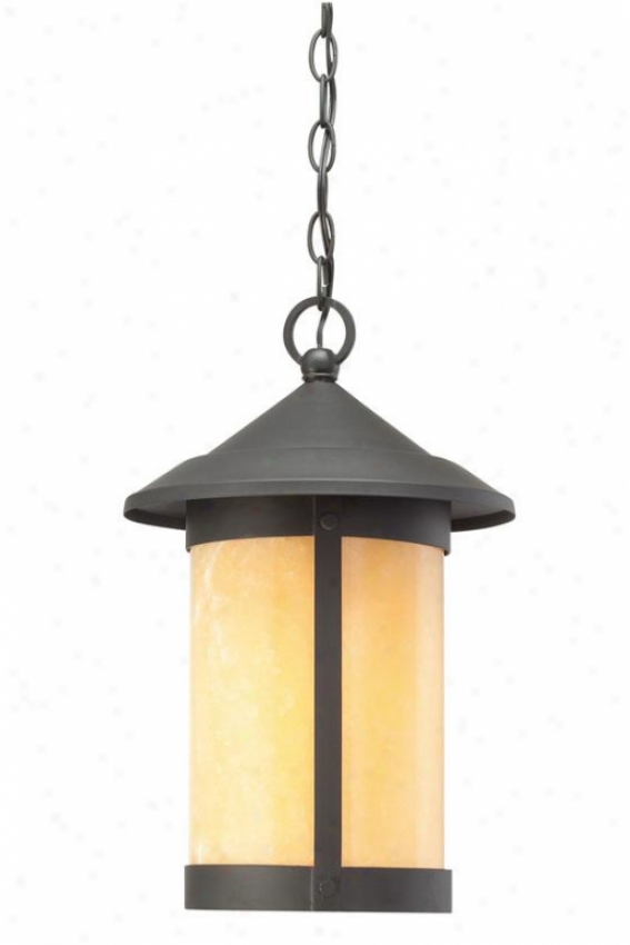 "landon Outdoor Hanging Lantern - 17""h, Black"