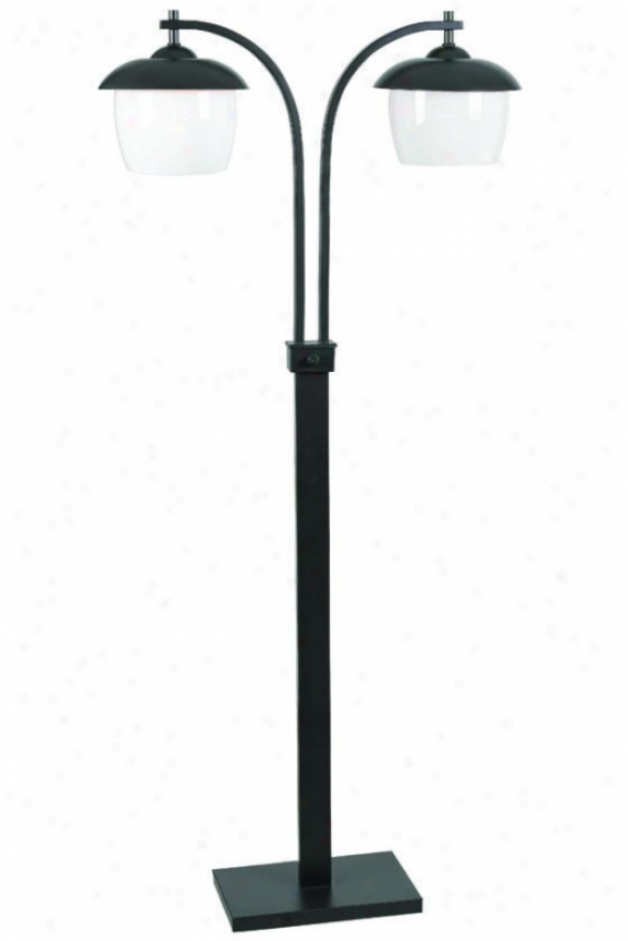 "lika Outdoor Floor Lamp - 55""h X 8""w, Oil Rub Bronze"